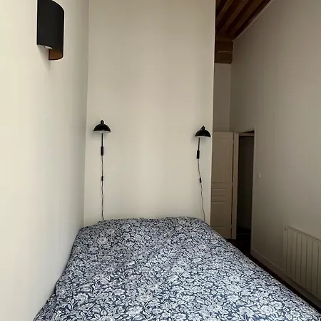 Bright T3 In The 1st Arrondissement Appartement Lyon